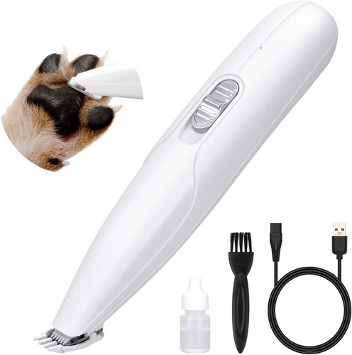 Gasur small dog - gasur,