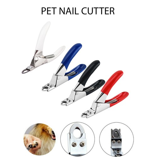 Dog nail clippers pet cat - nail,