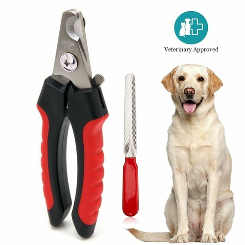 Dog nail clippers cutting - clippers,