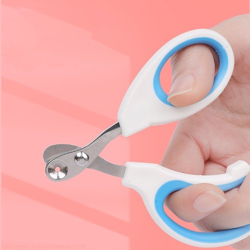 Professional cat nail - professional,