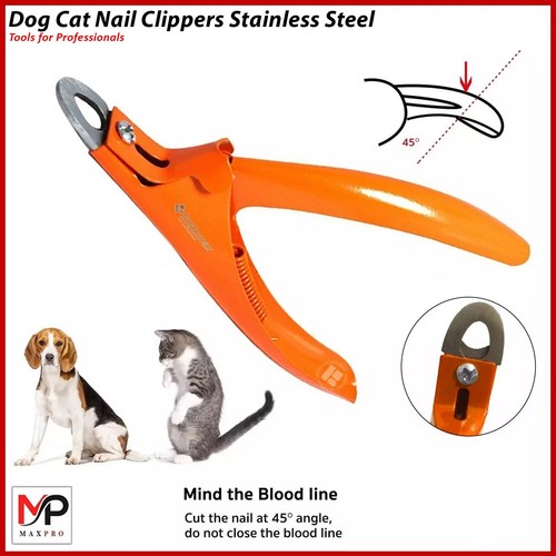 Pet dog cat toe - dog, clippers