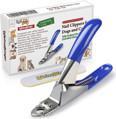 Dog cat pets - cat,