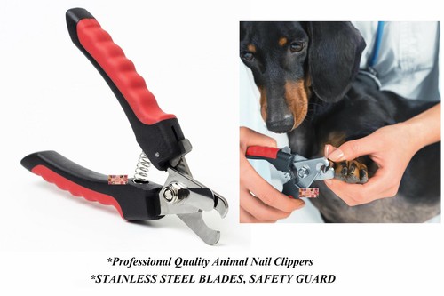 Pro groomer cat - pro, dog