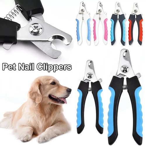 Animal pet dog cat - animal,