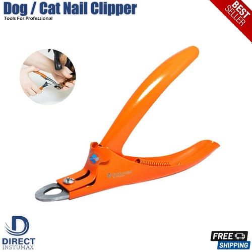 Small dogs paw claw cutting - dogs,