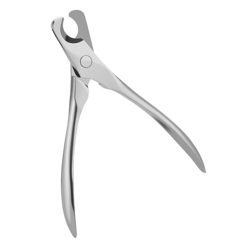 Stainless steel dog nail - stainless,