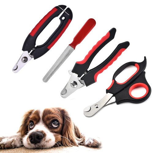 Pet nail clippers - nail, dog