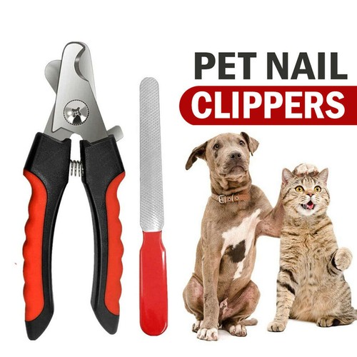 Pet dog toe nail - pet,