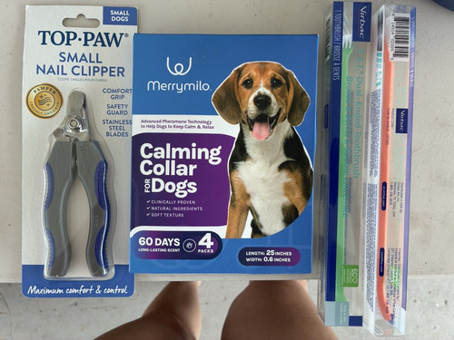 Top paw dog nail - top,