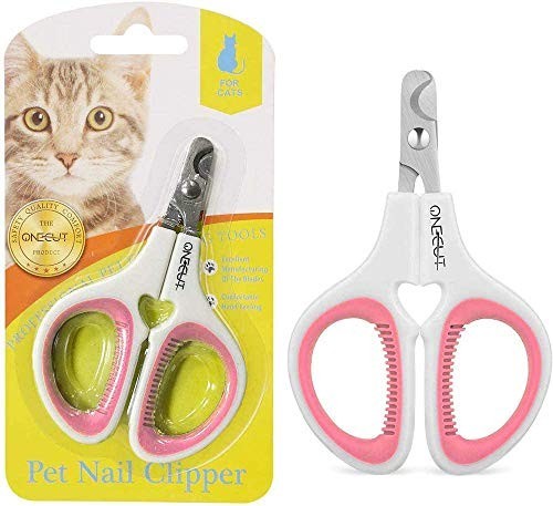 Cat small dog - small,