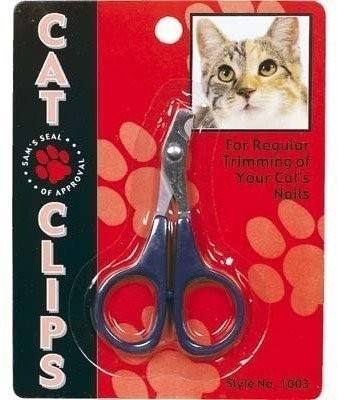 Allary cat and small dog - cat, nail