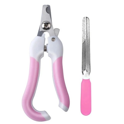 Stainless steel pet - stainless, nail